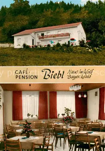 AK / Ansichtskarte  Haus_Wald Café Pension Biebl Haus_Wald