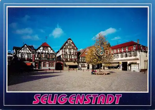 AK / Ansichtskarte  Seligenstadt_Hessen Marktplatz Seligenstadt_Hessen