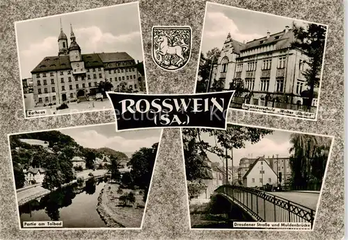 AK / Ansichtskarte  Rosswein Rathaus Ingenieurschule Walter Ulbricht Partie am Talbad Dresdener Strasse und Muldenbruecke Rosswein