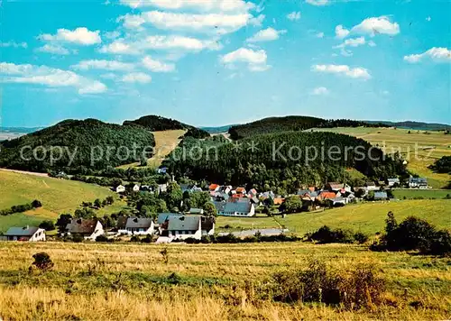 AK / Ansichtskarte 73867934 Deifeld_Medebach Gasthof Pension Oberreuter Panorama 