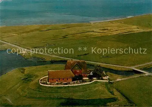 AK / Ansichtskarte  Hallig_Hooge Kirchwarft Hallig Hooge