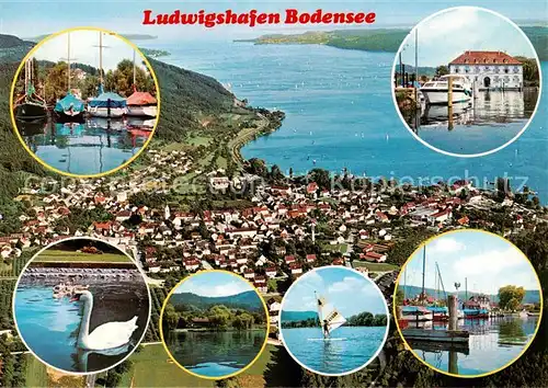 AK / Ansichtskarte 73868302 Ludwigshafen_Bodman-Ludwigshafen_Bodensee Bootshafen Schwaene Surfen Hafenpartie 