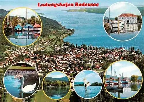 AK / Ansichtskarte  Ludwigshafen_Bodman-Ludwigshafen_Bodensee Bootshafen Schwaene Surfen Hafenpartie 