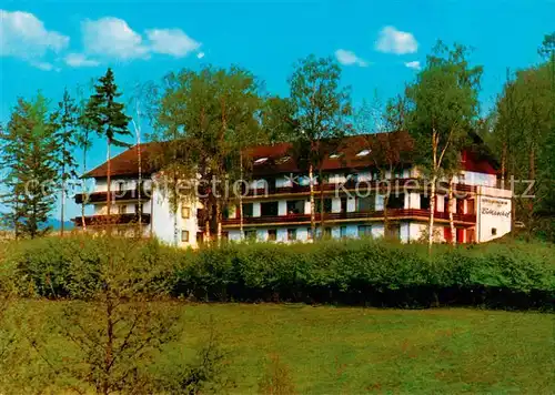 AK / Ansichtskarte  Wald-Michelbach_Waldmichelbach Restaurant Birkenhof Pension 