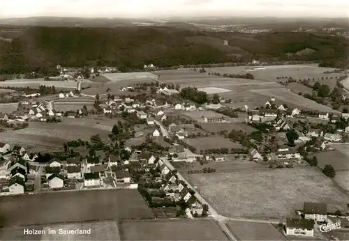 AK / Ansichtskarte  Holzen_Arnsberg_Sauerland Fliegeraufnahme 