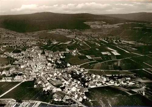 AK / Ansichtskarte  Hallgarten_Rheingau Fliegeraufnahme Hallgarten Rheingau