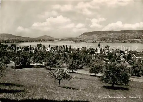 AK / Ansichtskarte  Mammern Panorama am Untersee Mammern