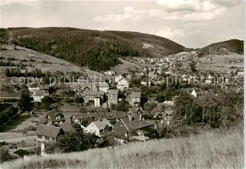 AK / Ansichtskarte  Steinach_Thueringen Panorama Steinach Thueringen