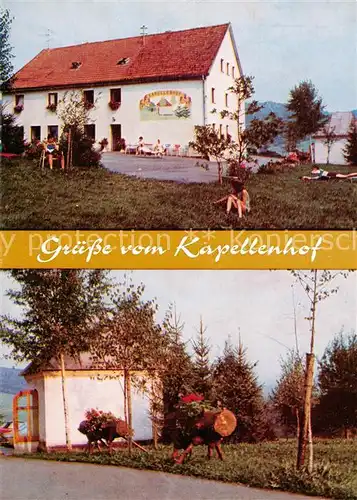 AK / Ansichtskarte  Perlesreut Pension Kapellenhof Perlesreut