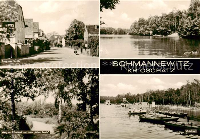 AK / Ansichtskarte 73868838 Schmannewitz_Dahlen_Sachsen