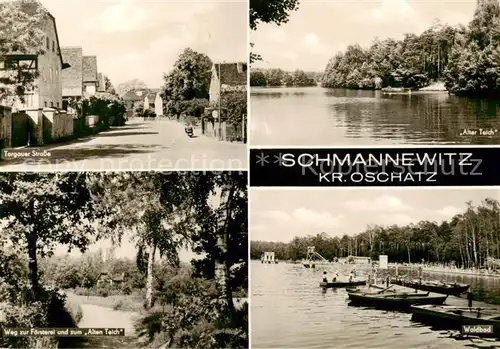 AK / Ansichtskarte  Schmannewitz_Dahlen_Sachsen Torgauer Strasse Alter Teich Weg zur Foersterei und zum Alten Teich Waldbad 