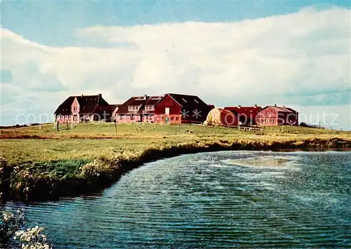 AK / Ansichtskarte  Hallig_Hooge Ockeluetzwarft Schule Haus Diedrichsen Jugendlanger Binge Hallig Hooge