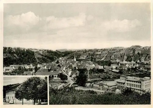 AK / Ansichtskarte  Roigheim Gaststaette zum Bahnhof Panorama Roigheim