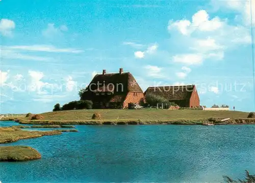 AK / Ansichtskarte  Hallig_Hooge Kirchwarft Hallig Hooge