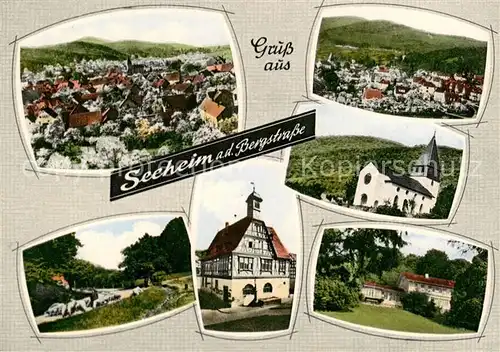 AK / Ansichtskarte 73869520 Seeheim-Jugenheim_Bergstrasse Panorama Park Kirche Gasthaus Park 