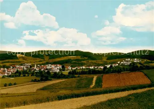 AK / Ansichtskarte  Brensbach Panorama Brensbach