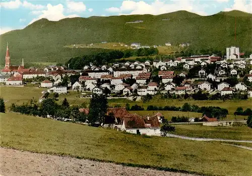 AK / Ansichtskarte 73869640 Zwiesel__Niederbayern Panorama 