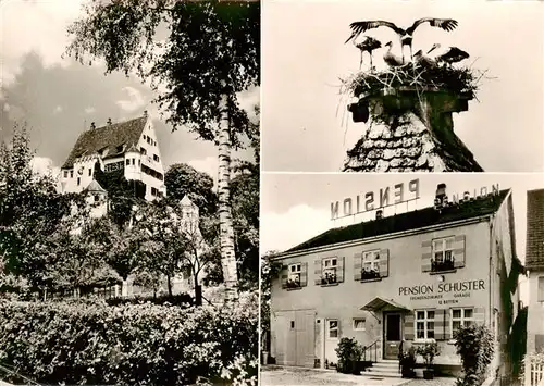 AK / Ansichtskarte  Leipheim Schloss Pension Schuster Storchennest Leipheim