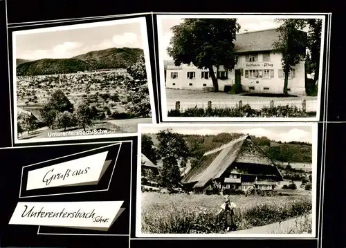 AK / Ansichtskarte  Unterentersbach_Zell_am_Harmersbach Panorama Bauernhof Gasthaus zum Pflug 