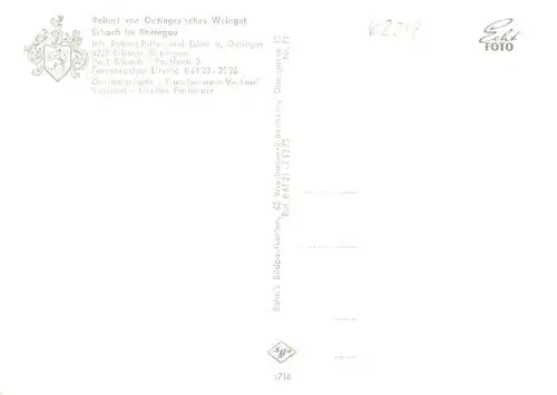 AK / Ansichtskarte 73869687 Erbach_Rheingau Robert von Oelingersches Weingut Gastraum Erbach Rheingau