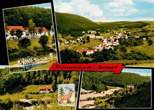 AK / Ansichtskarte  Krausenbach_Dammbach Gasthaus Pension Zum Loewen Panorama 