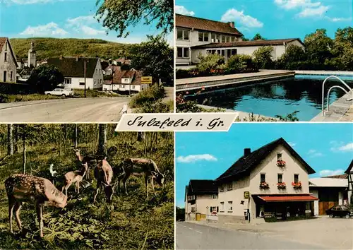 AK / Ansichtskarte 73869891 Sulzfeld_Grabfeld Ortspartie Wildpark Gemischtwaren Guck Schwimmbad Sulzfeld Grabfeld