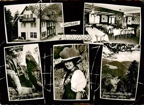 AK / Ansichtskarte  Schwanenbachtal_Hornberg_Schwarzwald Gasthaus zum Lamm Gastraum Felspartie in Igelloch Schwarzwaelderin Blick von den Igellochfelsen zum Lam 