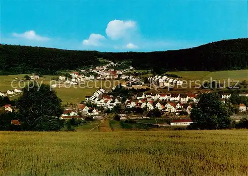 AK / Ansichtskarte  Aschbach_Odenwald Gasthof Restaurant Waldeslust Panorama Aschbach Odenwald