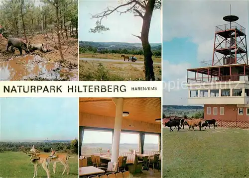 AK / Ansichtskarte 73870191 Haren_Ems Naturpark Hilterberg Details Hilgenberg Cafe Haren_Ems