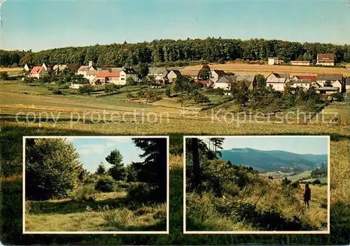 AK / Ansichtskarte 73870222 Neuludwigsdorf Panorama Waldlandschaften Neuludwigsdorf