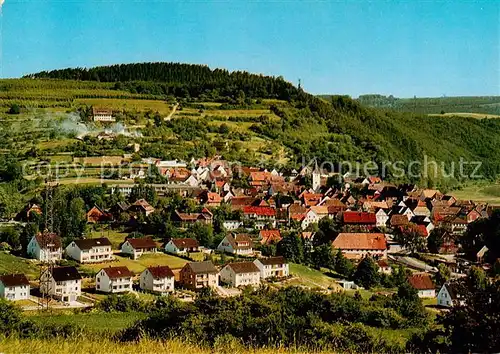 AK / Ansichtskarte  Polle_Oberweser Panorama Polle_Oberweser