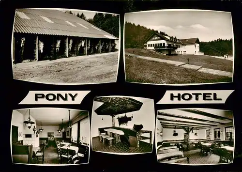 AK / Ansichtskarte  Hammelbach_Grasellenbach Pony Hotel Gassbachhof Stall Gastraeume 