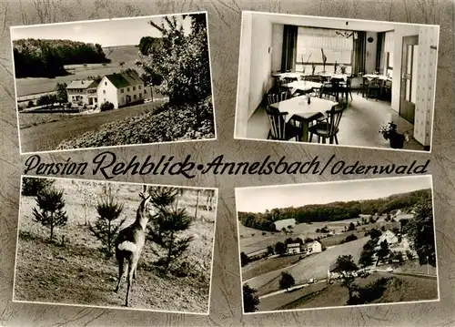 AK / Ansichtskarte 73870317 Annelsbach_Hoechst _Odenwald Pension Rehblick Gaststube Panorama Reh 