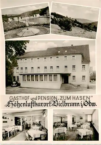 AK / Ansichtskarte  Vielbrunn Gasthof Pension Zum Hasen Springbrunnen Panorama Gastraeume Vielbrunn