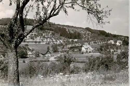 AK / Ansichtskarte  oedsbach_Oberkirch Panorama 