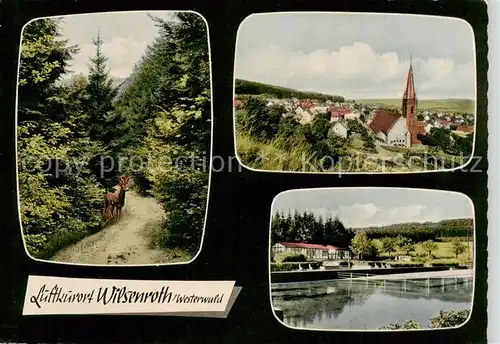 AK / Ansichtskarte  Wilsenroth_Dornburg Waldweg Panorama Kirche Schwimmbad 