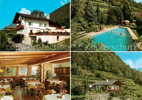 AK / Ansichtskarte  Algund_Merano_Suedtirol_IT Gasthof Feigenstauder Gastraum Schwimmbad Huette 