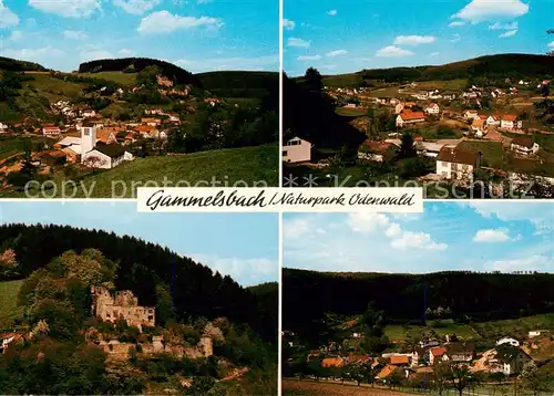 AK / Ansichtskarte  Gammelsbach Panorama Burgruine Gasthaus Zum Kuehlen Krug Gammelsbach