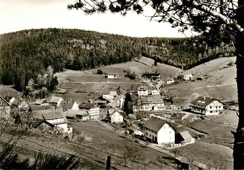 AK / Ansichtskarte  Gompelscheuer Gasthof zum Enzursprung Gompelscheuer