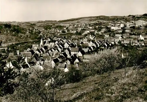 AK / Ansichtskarte  Haiterbach Panorama Haiterbach