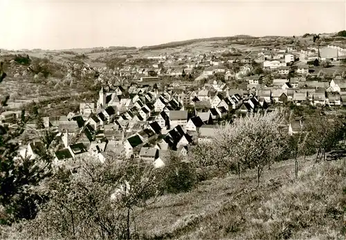 AK / Ansichtskarte 73871956 Haiterbach Panorama Haiterbach