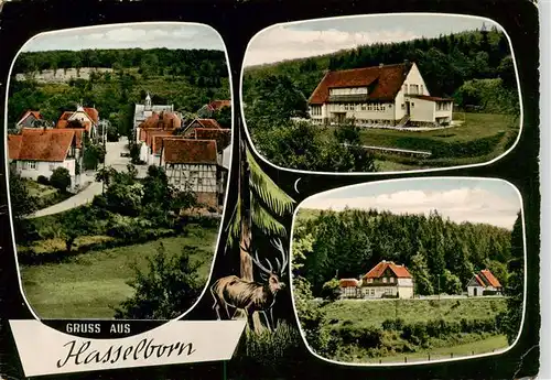 AK / Ansichtskarte  Hasselborn_Waldsolms Panorama Gemischtwaren Lina Butz 