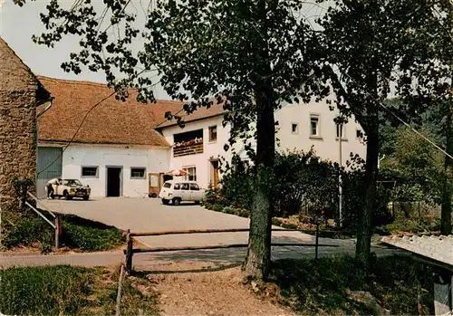 AK / Ansichtskarte  Falkenstein_Pfalz Pension Schlaefer Falkenstein_Pfalz