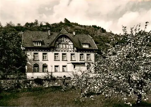 AK / Ansichtskarte  Haslach_Kinzigtal Gasthaus Pension zur Arche Baumbluete Haslach_Kinzigtal