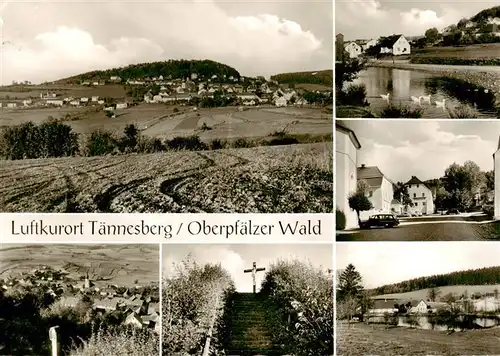 AK / Ansichtskarte  Taennesberg Panorama Luftkurort im Oberpfaelzer Wald Teilansichten Taennesberg