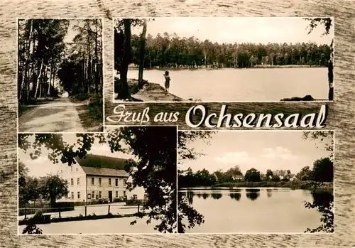 AK / Ansichtskarte  Ochsensaal_Dahlen_Sachsen Gasthof Froehlich Waldweg Seepartien 