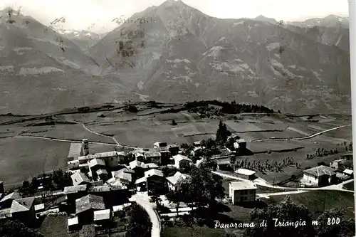 AK / Ansichtskarte  Triangia_Sondrio_Lombardia_IT Panorama 