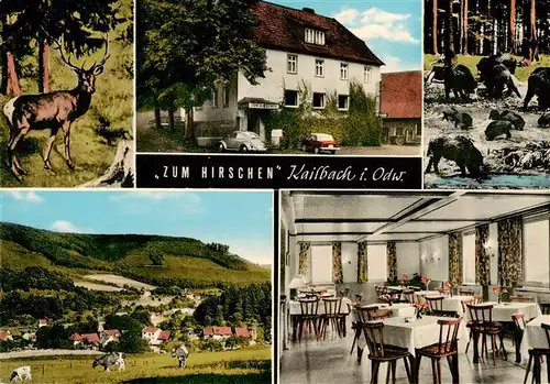 AK / Ansichtskarte 73872682 Kailbach Gasthaus Pension zum Hirschen Landschaftspanorama Viehweide Wildschweine Kailbach