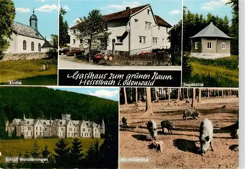 AK / Ansichtskarte  Hesselbach_Odenwald Gasthaus zum gruenen Baum Kirche Jagdhuette Schloss Waldleiningen Wildfuetterung Wildschweine Hesselbach Odenwald