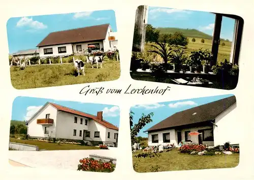 AK / Ansichtskarte  Holzhausen_Luebbecke Pension Lerchenhof Holzhausen Luebbecke